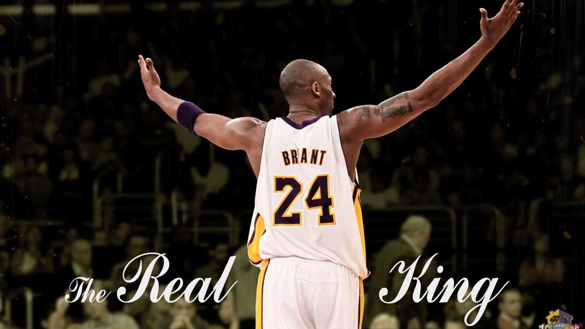 开云体育在线-当熊爪撕裂明尼苏达的夜，一场定义季后赛的惨烈胜利  第2张