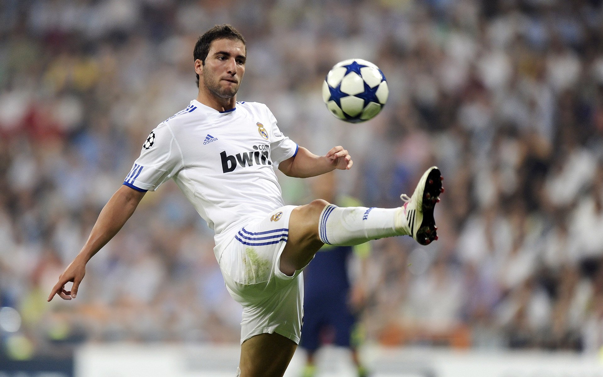 开云体育在线-芬兰爆冷突尼斯，布鲁诺，那个在极光与沙暴之间起舞的关键先生  第1张